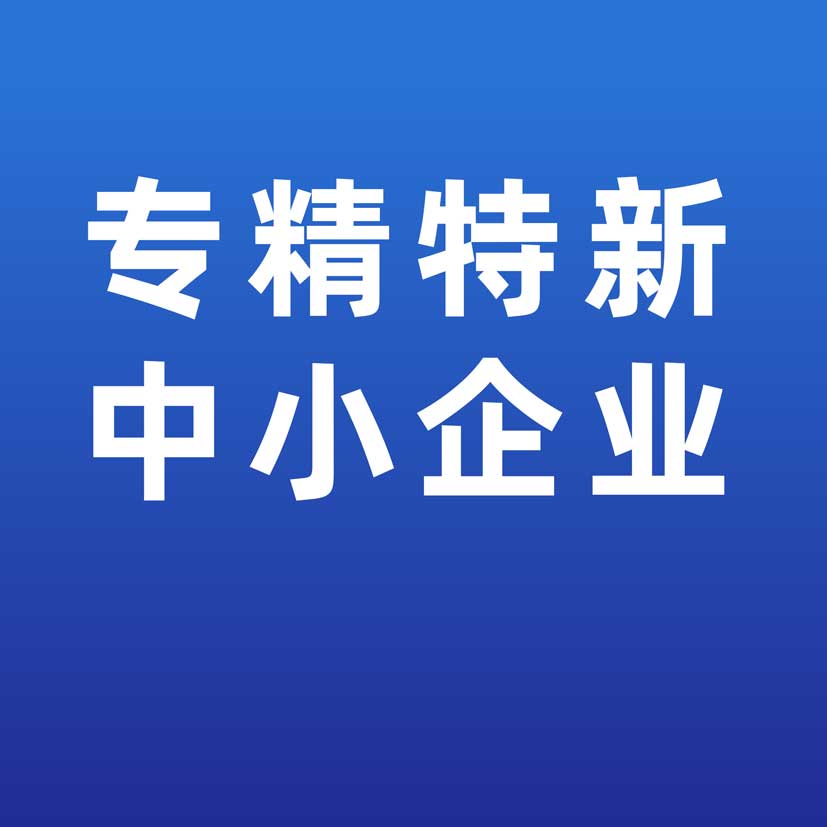 9728太阳集团子公司荣获“湖北省专精特新中小企业”称号