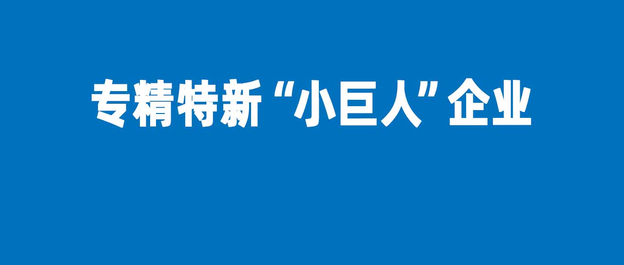 9728太阳集团再获国家级专精特新“小巨人”认定