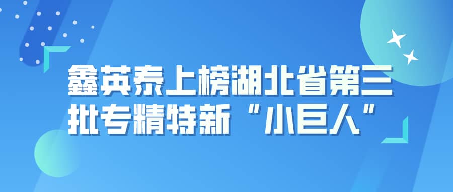 9728太阳集团上榜湖北省第三批专精特新“小巨人”企业名单