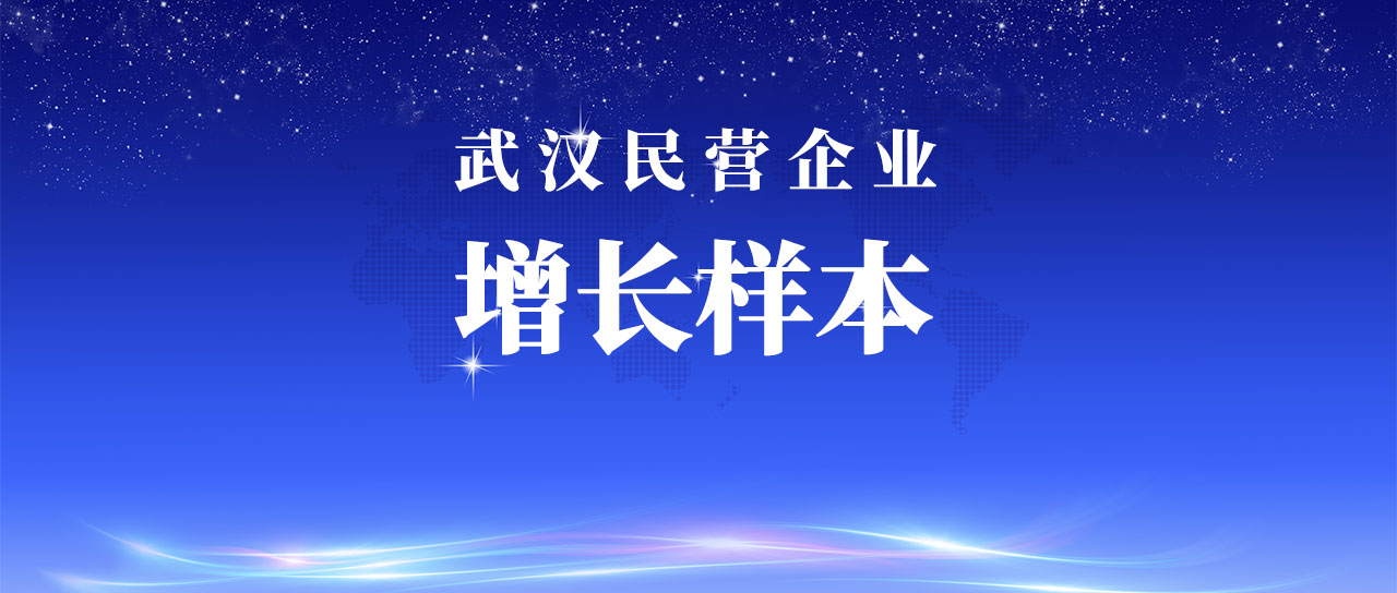 9728太阳集团入选武汉市民营企业增长样本企业